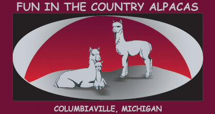 Fun in the Country Logo