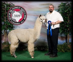 Grandsire Legend's Peruvian Revelation of KPR