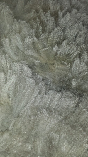 Psalm's Fleece - Beautiful! Fun In The Country's Psalm's Fleece