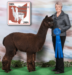 Son Fun In The Country's Mufasa