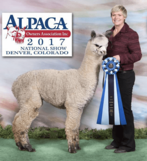 Daughter Fun in the Country’s Masterpiece