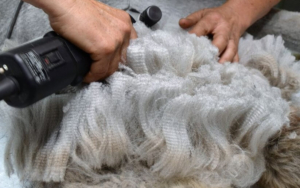 That 'WOW' factor fleece that, "Makes me want to sing!" Fun in the Country’s Superman Fleece