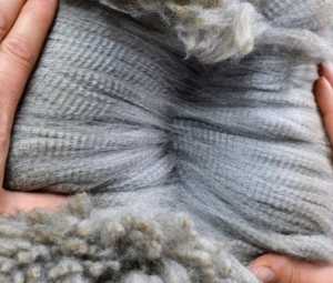 That 'WOW' factor fleece that, "Makes me want to sing!" Fun in the Country’s Superman Fleece