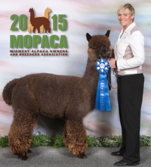 Sire Fun In The Country Genesis of Guns