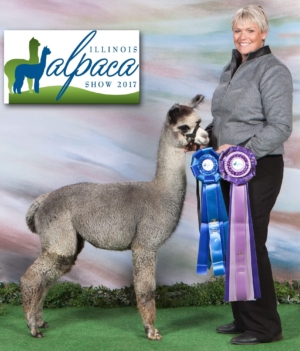 Daughter Fun In The Country's Eye Of The Storm