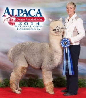 Fun In The Country's Liquid Silver Fun In The Country's Liquid Silver