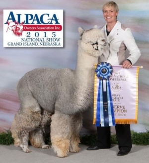 Fun In The Country's Liquid Silver Fun In The Country's Liquid Silver