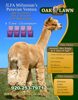 Sire JLFA Millenium's Peruvian Ventura