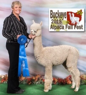 TWF Peruvian Empyre TWF Peruvian Empyre