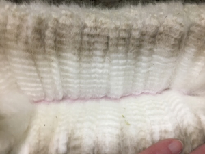 Empyre's Fleece - Holy Cow! TWF Peruvian Empyre Fleece