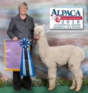 TWF Peruvian Empyre TWF Peruvian Empyre