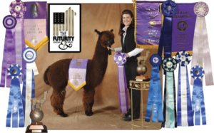 Sire Crystal Spartan