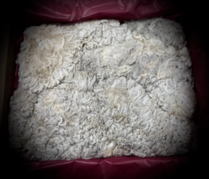 Psalm's Fleece 2015 Psalm's Fleece 2015