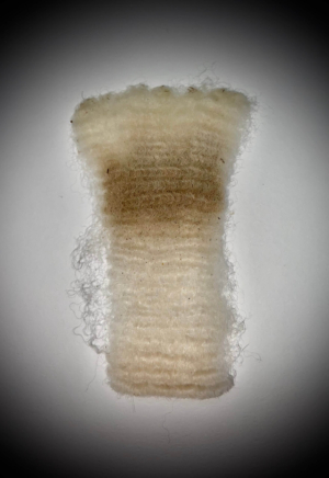 Priscilla's Fleece 2016 Priscilla's Fleece 2016