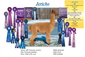 Grandsire MFI Peruvian Jericho